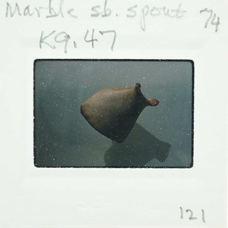 A small, brown mushroom growing on a surface.