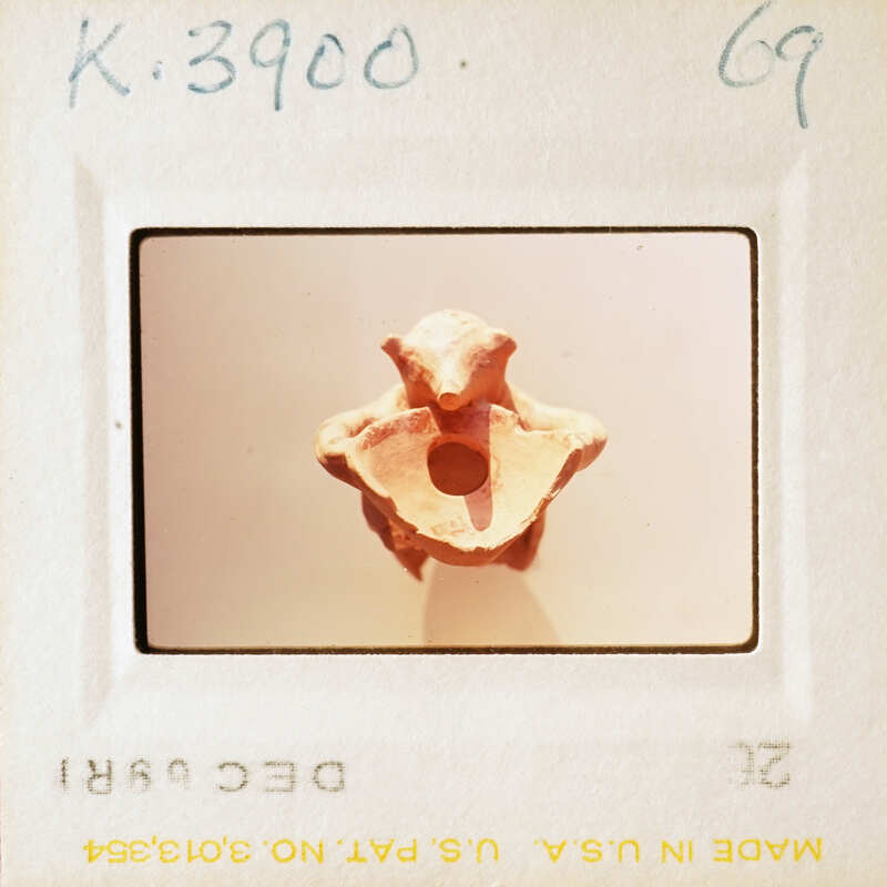 Pot in the form of a bear.