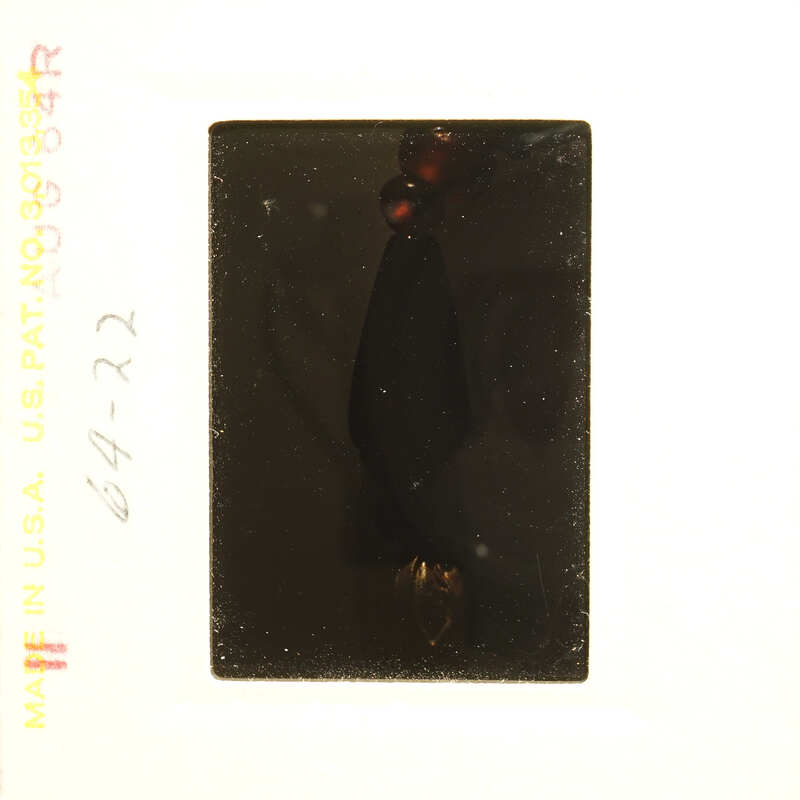 Small, dark object with red details on a white background.