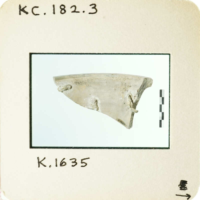 Ancient artifact, possibly a piece of pottery with markings and symbols, photographed on a white background.