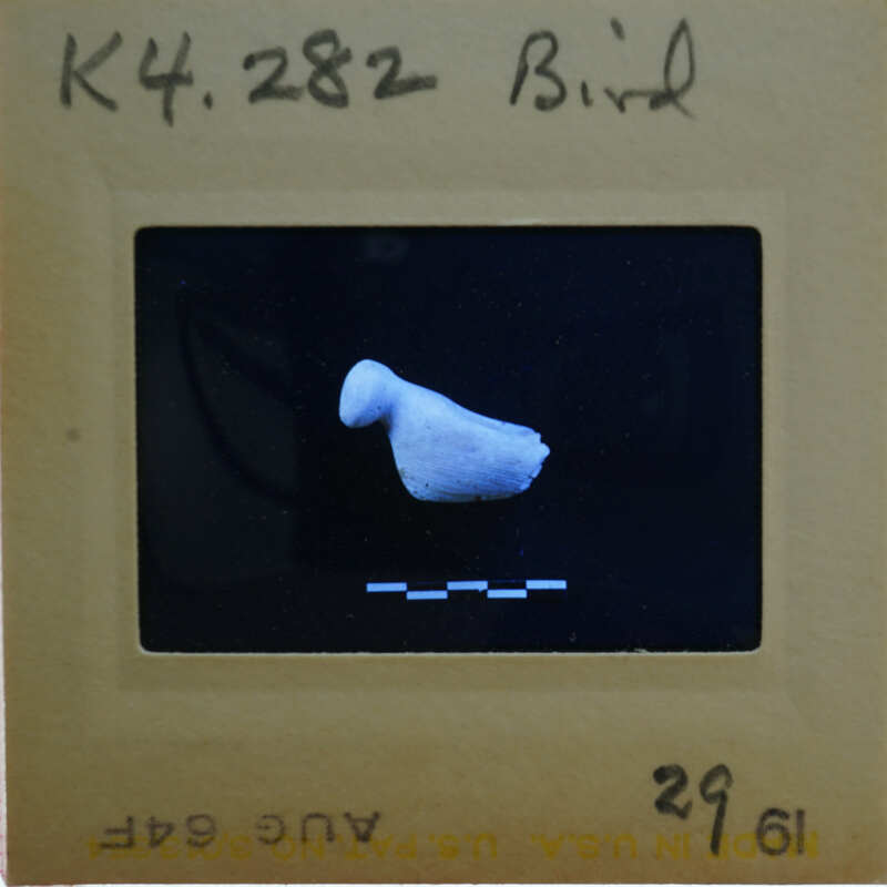 A black and white photo of a bird specimen with handwritten identification on the bottom left corner.