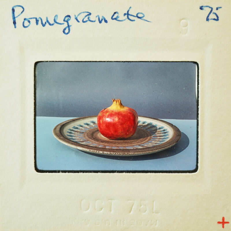 A single apple on a decorative plate, photographed and placed within an album page with handwritten notes.
