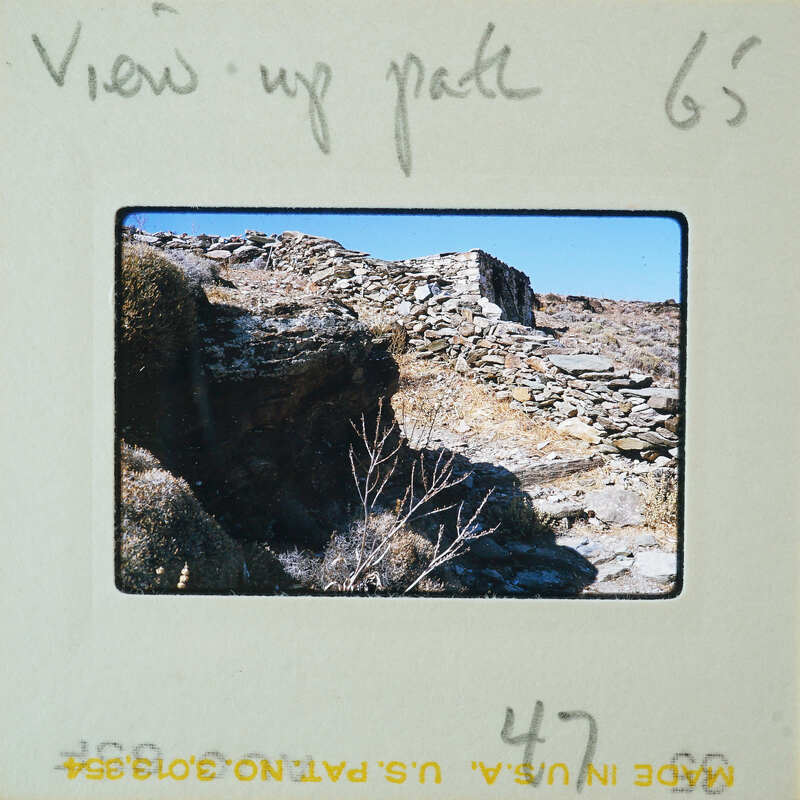 Old stone ruins on a hillside with vegetation.