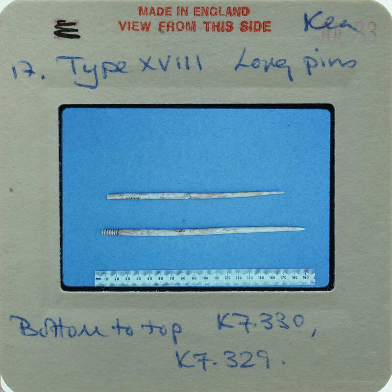 Two bone needles on blue surface.