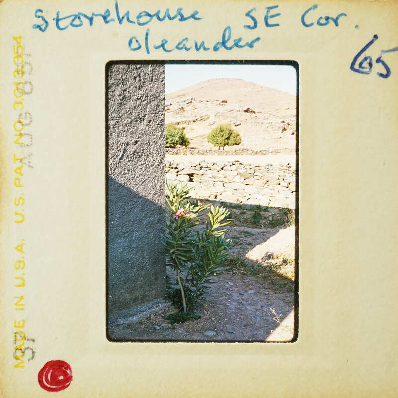 A vintage photo of a stone house with a mountainous landscape in the background, featuring a small tree and a wall made of rocks.