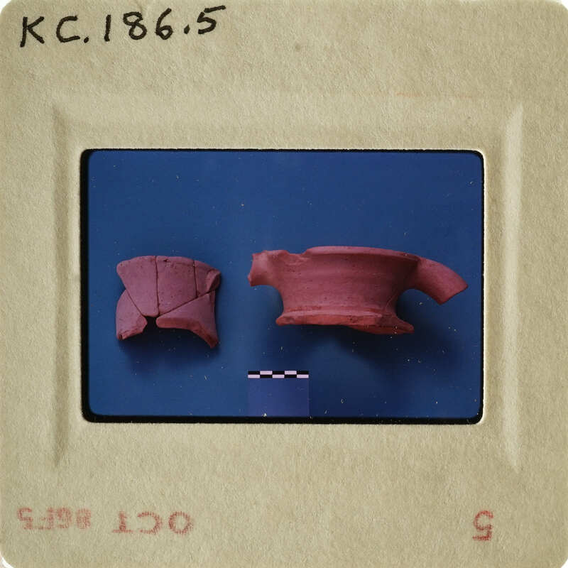 Photograph of ancient pottery shards on blue background.