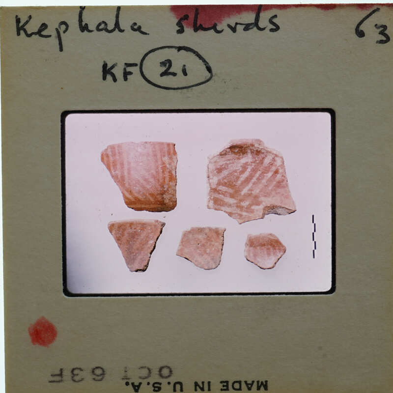 A collection of broken pottery pieces displayed on a label.