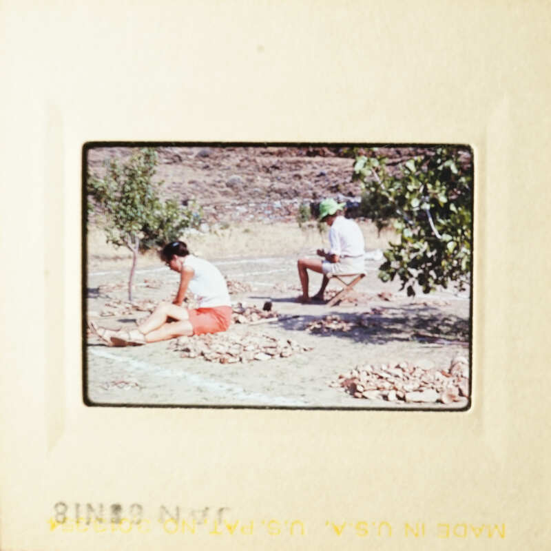 Two people working on a farm, surrounded by trees and plants.
