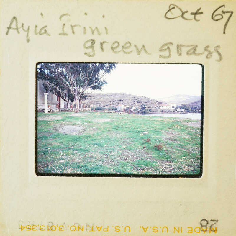 Photo of a grassy field with trees and mountains in the background.