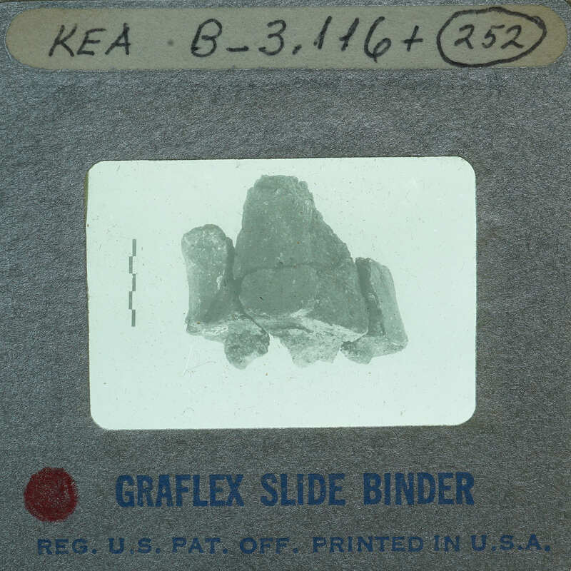 A small, jagged rock specimen encased in a clear plastic slide with labels and information on the slide holder's label.