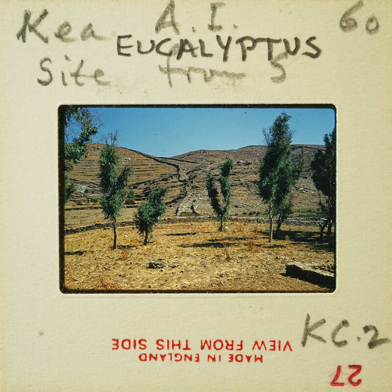 Photo of a barren landscape with sparse vegetation, possibly an ancient site.