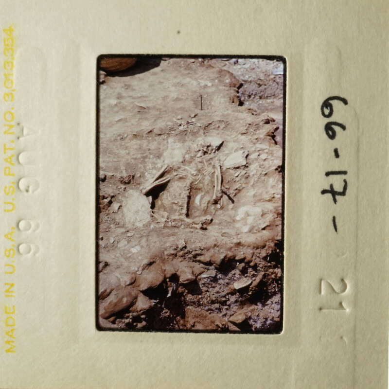 This is a photograph of an old slide showing a rocky landscape with some sort of object on it, possibly a fossil or artifact.