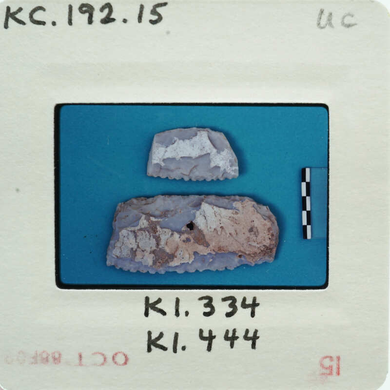 Two small comb fragments with no teeth.