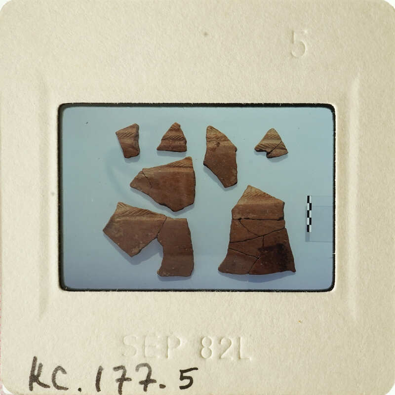 A collection of ancient pottery shards on display.