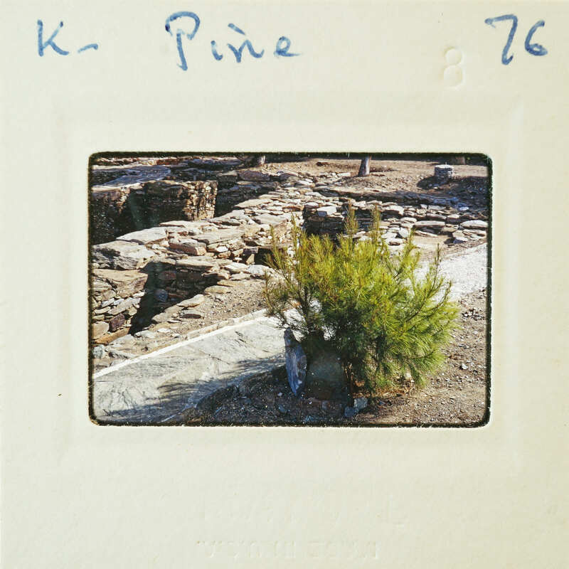 Old photo of a stone wall with vegetation and dirt ground, labeled "Ken Pine 76" on the border.