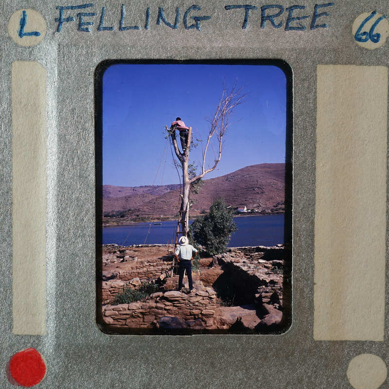 A man standing near a tree with another person climbing it, set against a scenic landscape.
