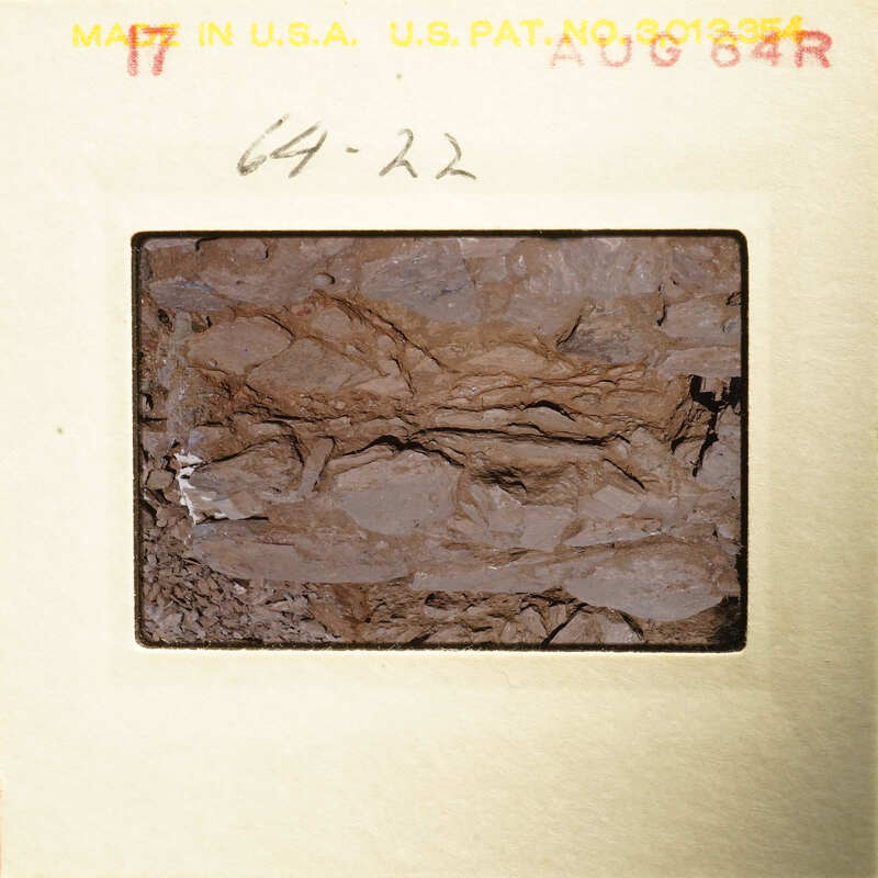 Close-up photograph of rock surface with various textures and layers.