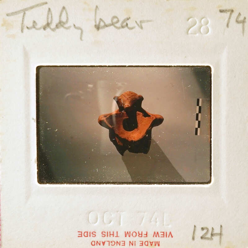 A small brown teddy bear on a white background.