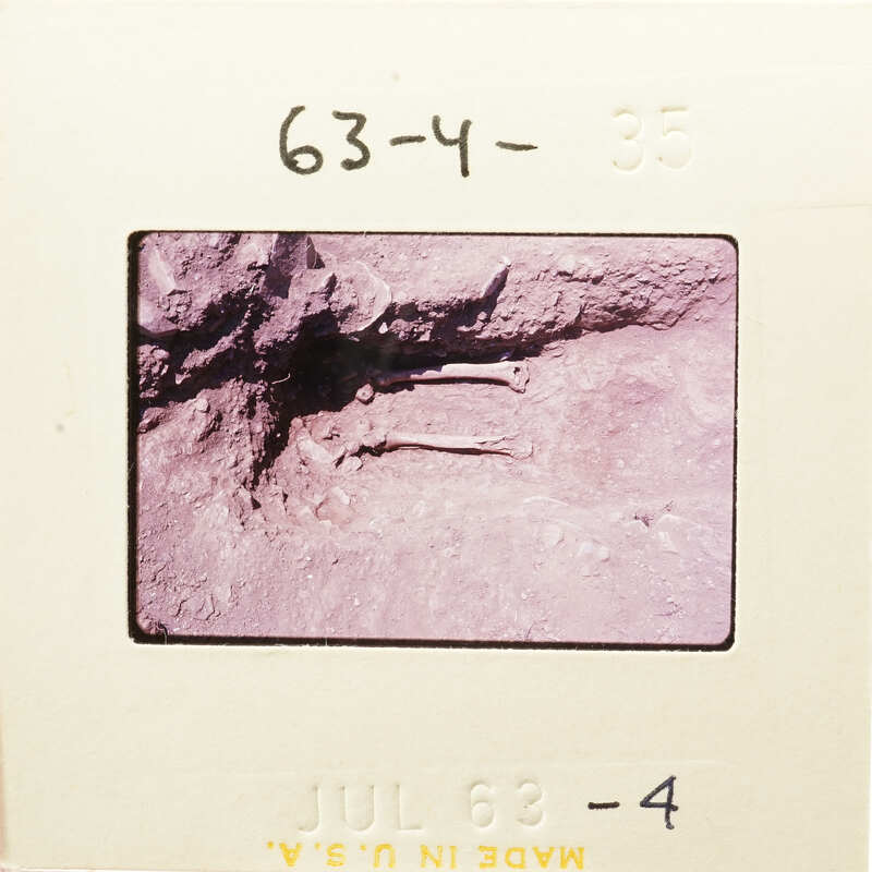 A photograph of an ancient human skeleton on a rock surface.