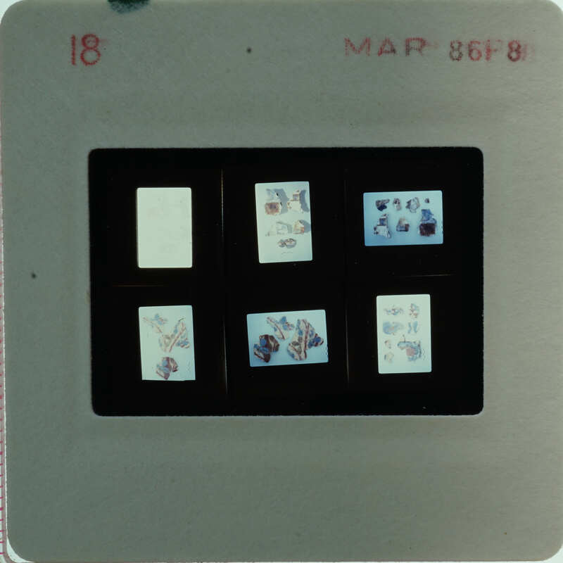 A slide of multiple slides of painted wall plaster fragments