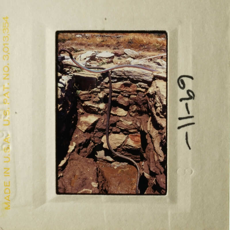 A photograph of an archaeological excavation site, featuring exposed stone walls and a trench lined with wooden planks.