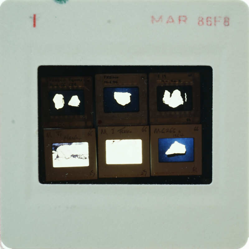 A slide of multiple slides of painted wall plaster fragments