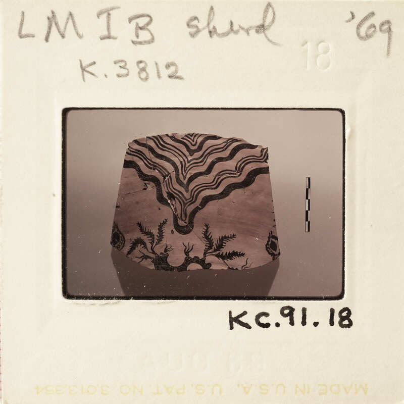 This is a photograph of an object with intricate patterns on it, taken from above and placed against a light background.