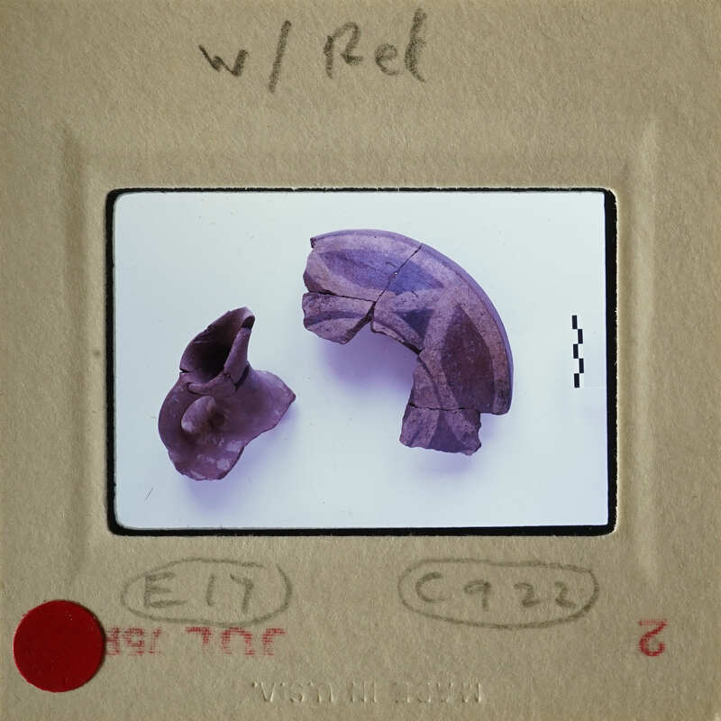 Small, broken pieces of pottery on white surface.