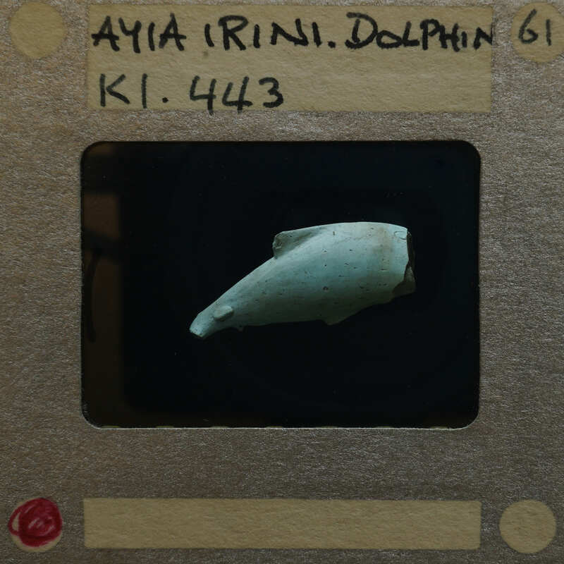Fragment of terracotta in the shape of a dolphin showing torso only K1.443.