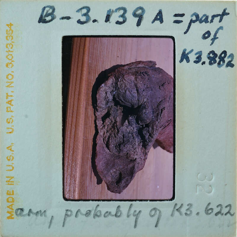 Terracotta fragment.