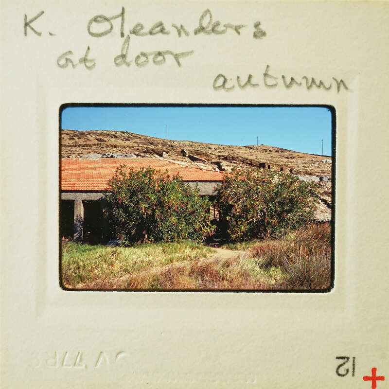 A photograph of a house with trees and mountains in the background, taken by K. O'Neil at an autumn door.