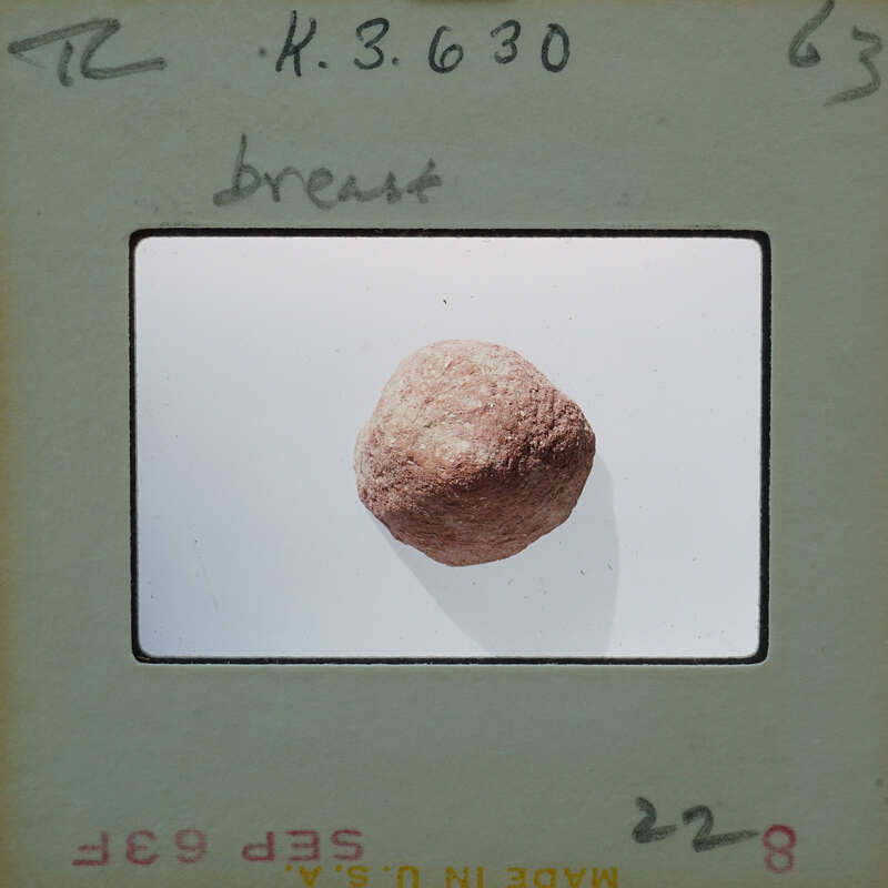 A small, brownish rock on a white background.