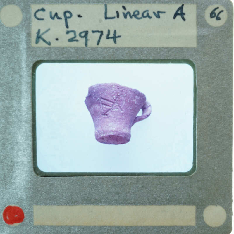 A purple cup with a handle, photographed on a white background and displayed within an image card.