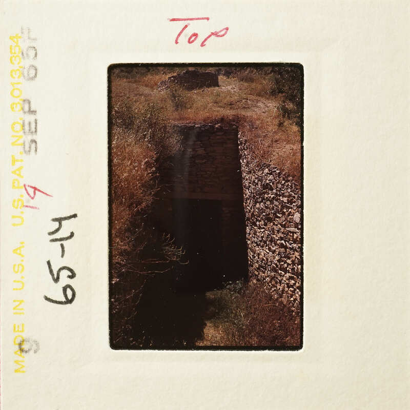 A photo of an ancient stone tunnel with vegetation on its walls and ceiling.