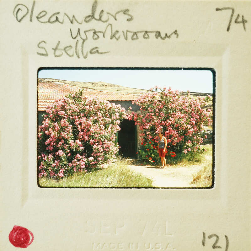 A vintage photograph of a person standing near pink flowers with a handwritten note on the border.