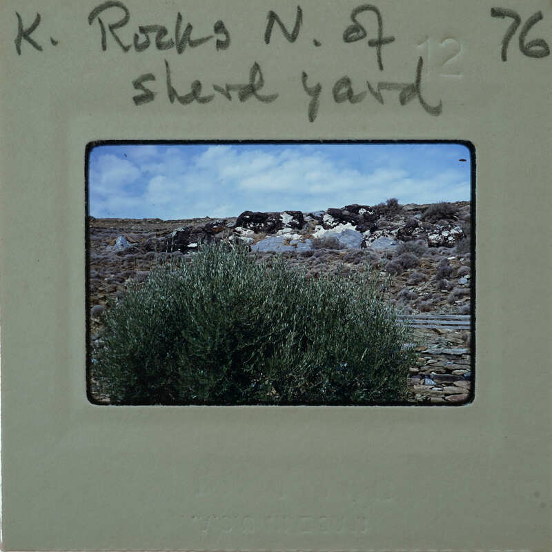 A photograph of a rocky landscape with shrubs and bushes, taken from an angle that shows the edge of the frame.