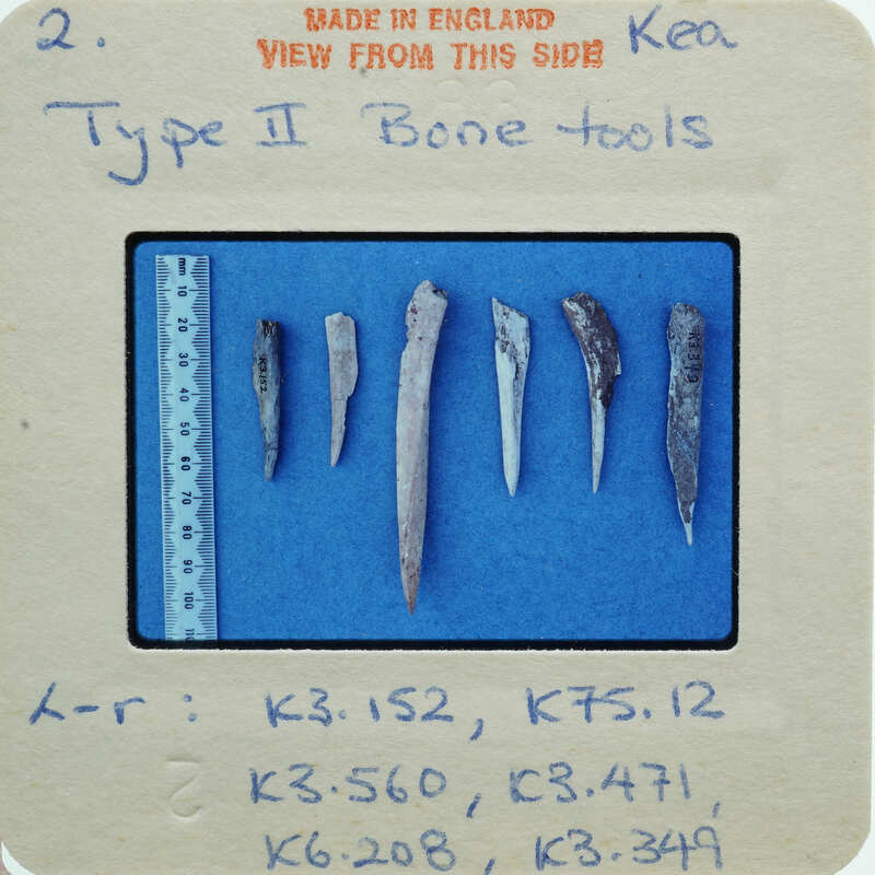 A collection of ancient bone tools on display with labels and measurements.