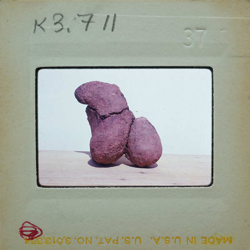 Two brown objects resembling a human figure on a white surface.