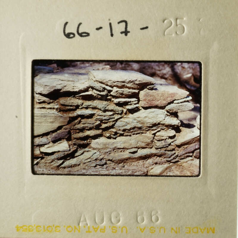 The photo shows a rocky cliff face with layers of rock and vegetation.