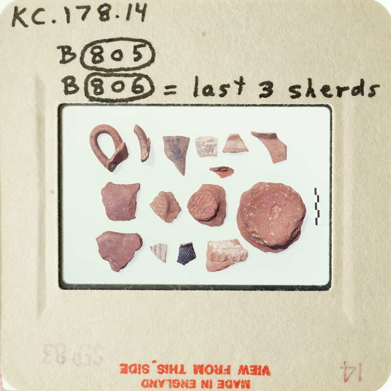 A collection of ancient pottery shards on display.