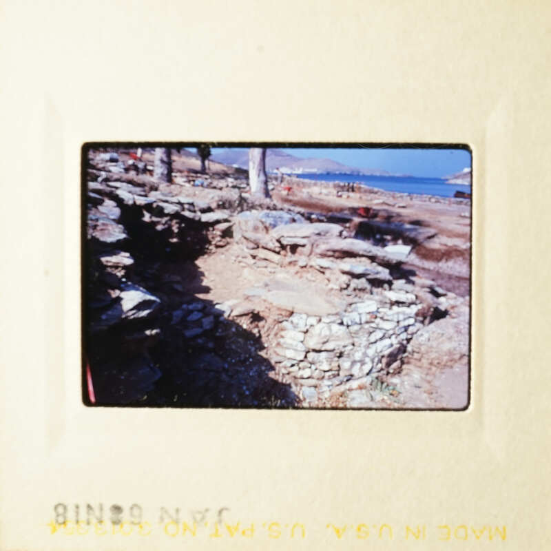 This is an image of a rocky beach with a stone wall and a tree in the background.