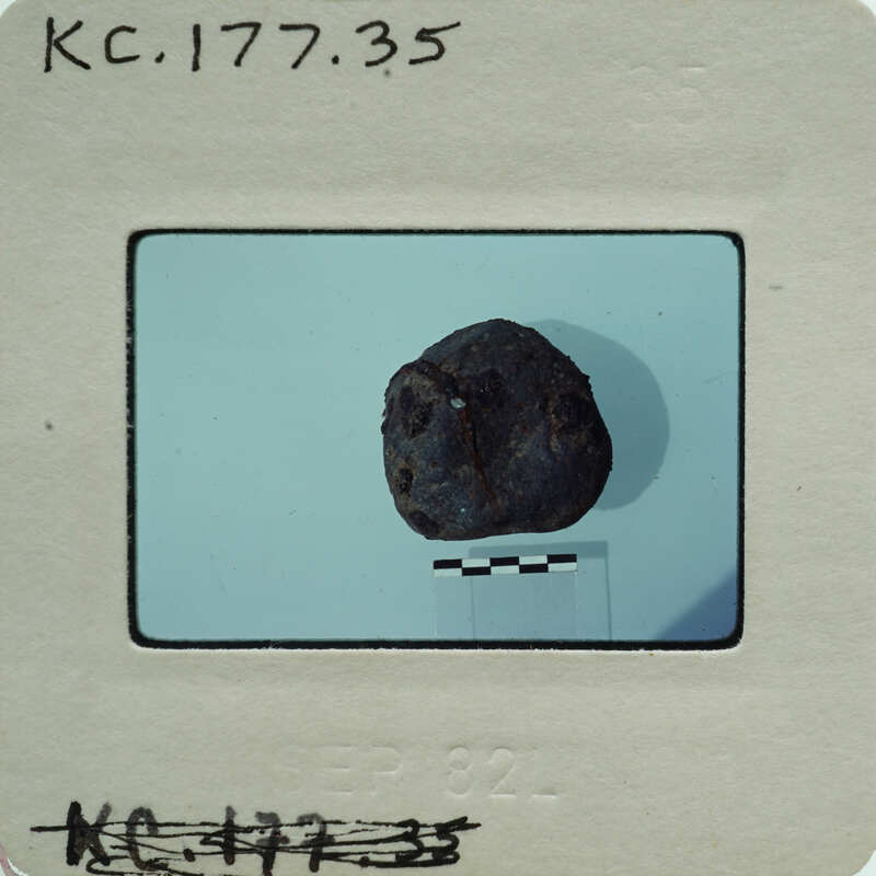 A small, dark-colored rock on a white surface with a ruler and labels.