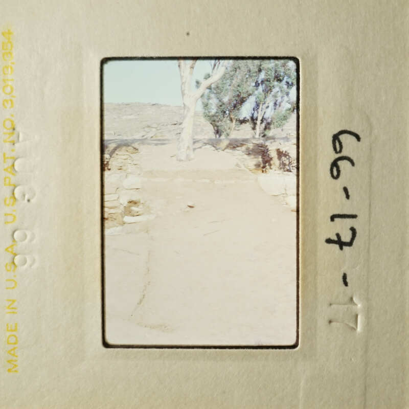 A vintage photo capturing an outdoor scene with a dirt path, a lone tree, and a stone wall.