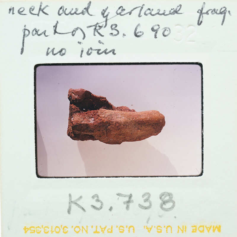 A photograph of a fossilized bone with handwritten notes on a card.