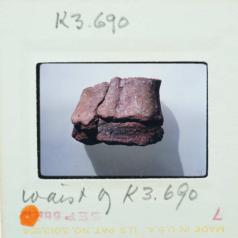 A close-up photograph of a rock with a label and price tag.