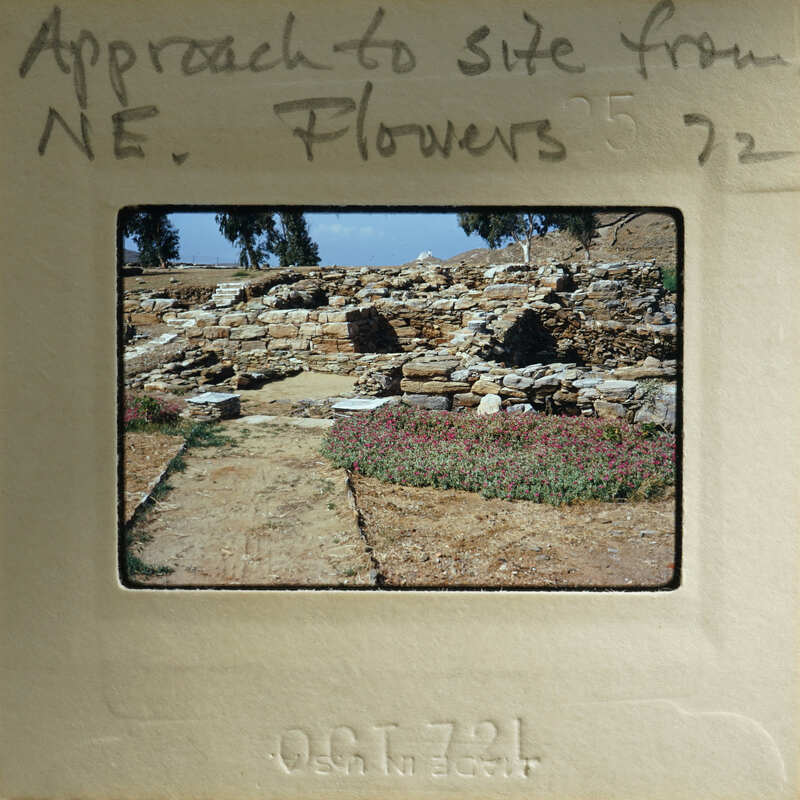 A vintage photograph of an archaeological site with ruins and flowers.