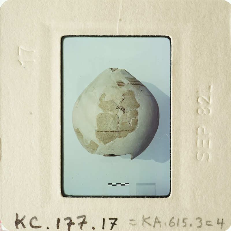 Old photograph of a shell with visible wear and tear, displayed on a white surface.