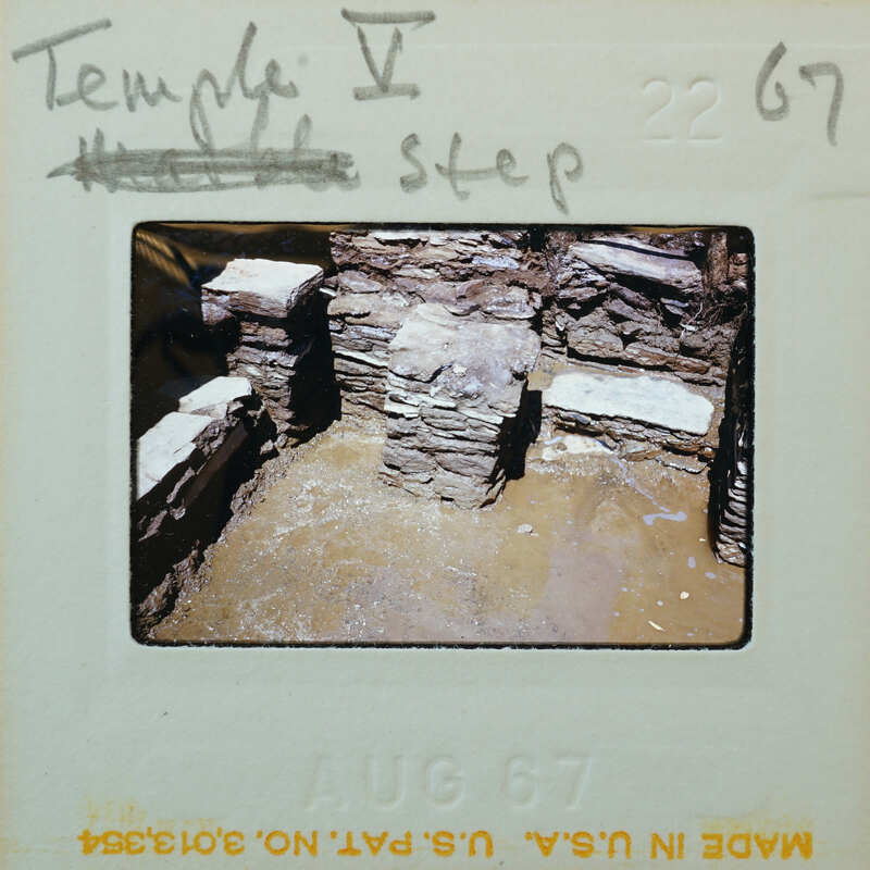 Excavated wall with visible layers and artifacts.