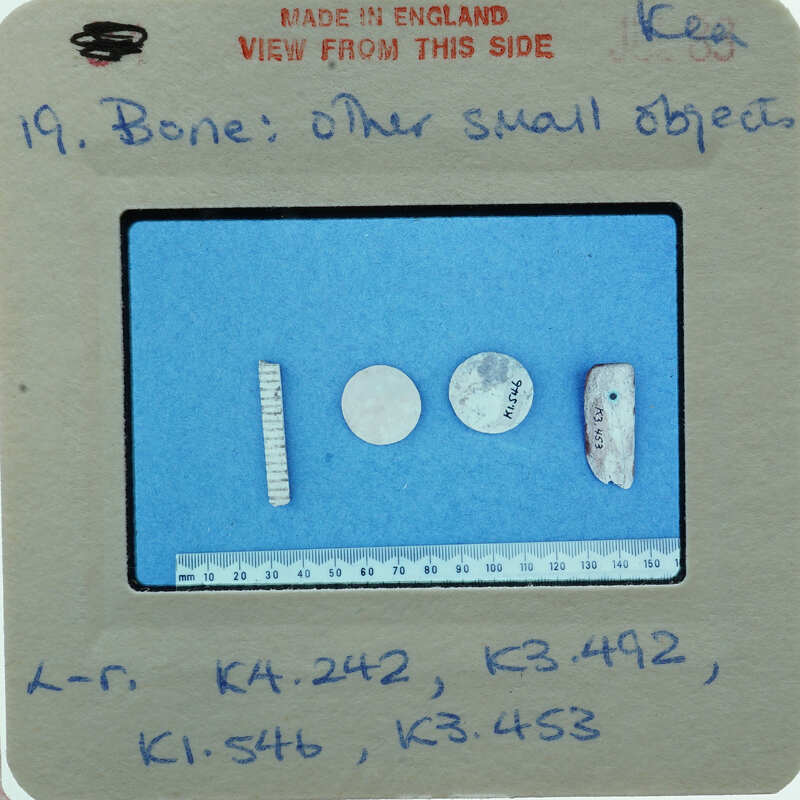 Two cylindrical and two circular bone objects on blue surface.