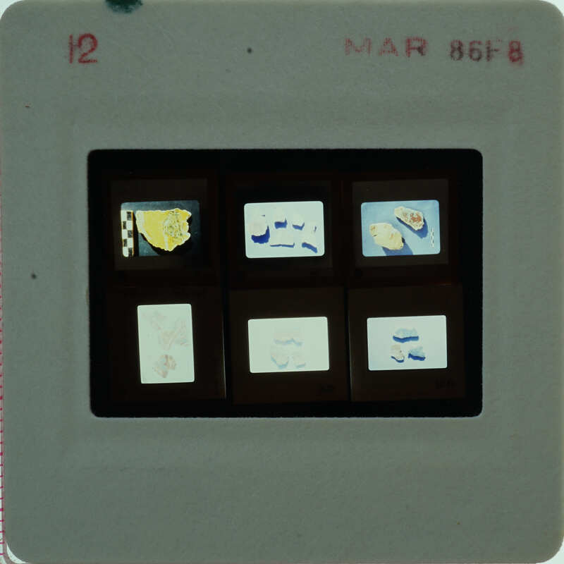 A slide of multiple slides of painted wall plaster fragments